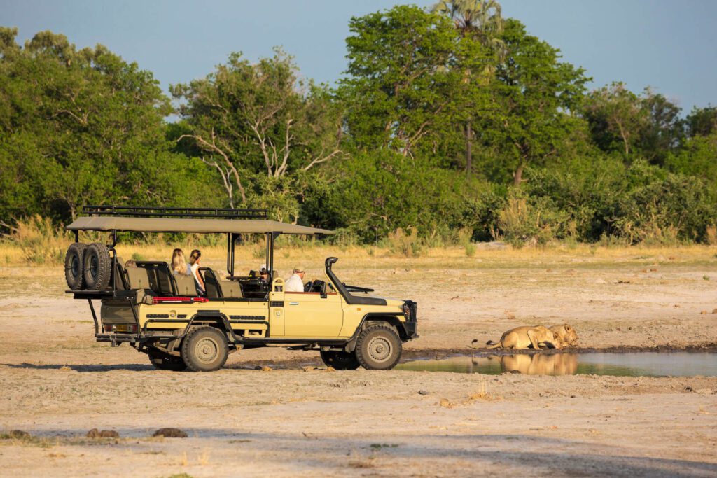 Perfect Reasons To Go On A Safari Adventure