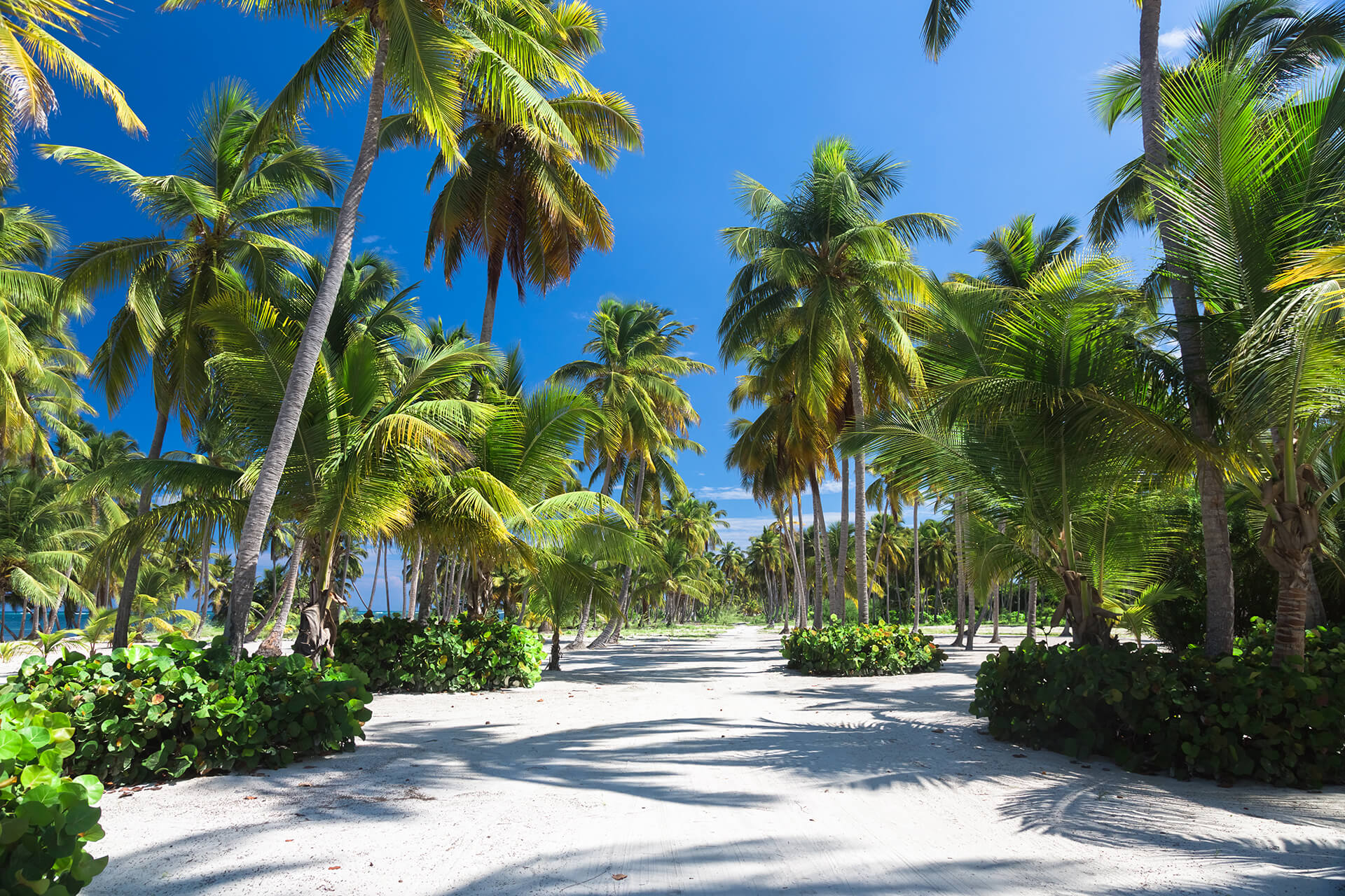 dominican republic luxury resorts