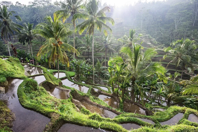 Explore Indonesia's Natural Wonders