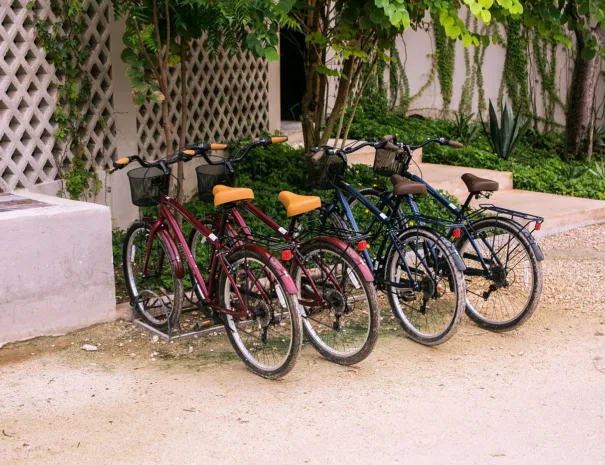 Bicycle that can be rented at Alea Tulum