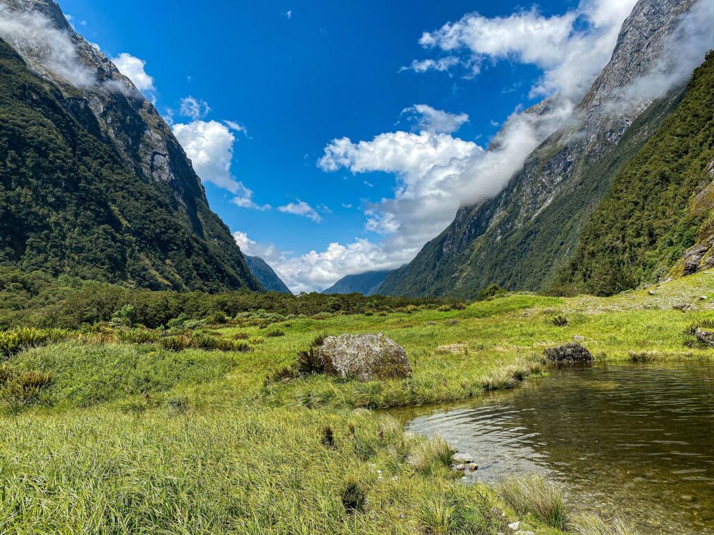 Springtime Hiking Escapades - New Zealand