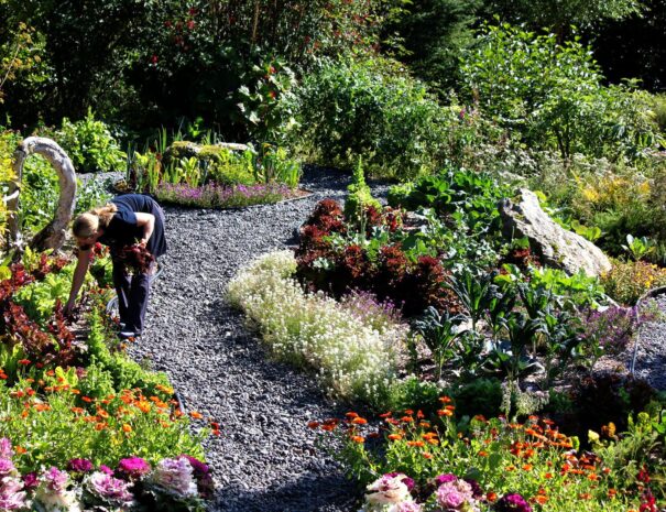 Stillpoint Lodge Gardener