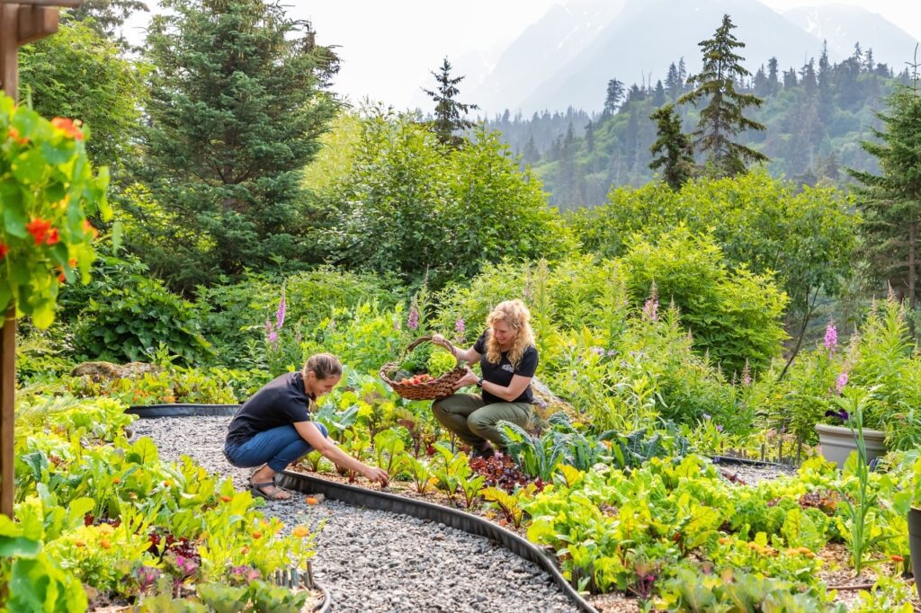 Stillpoint Lodge Alaska garden to table