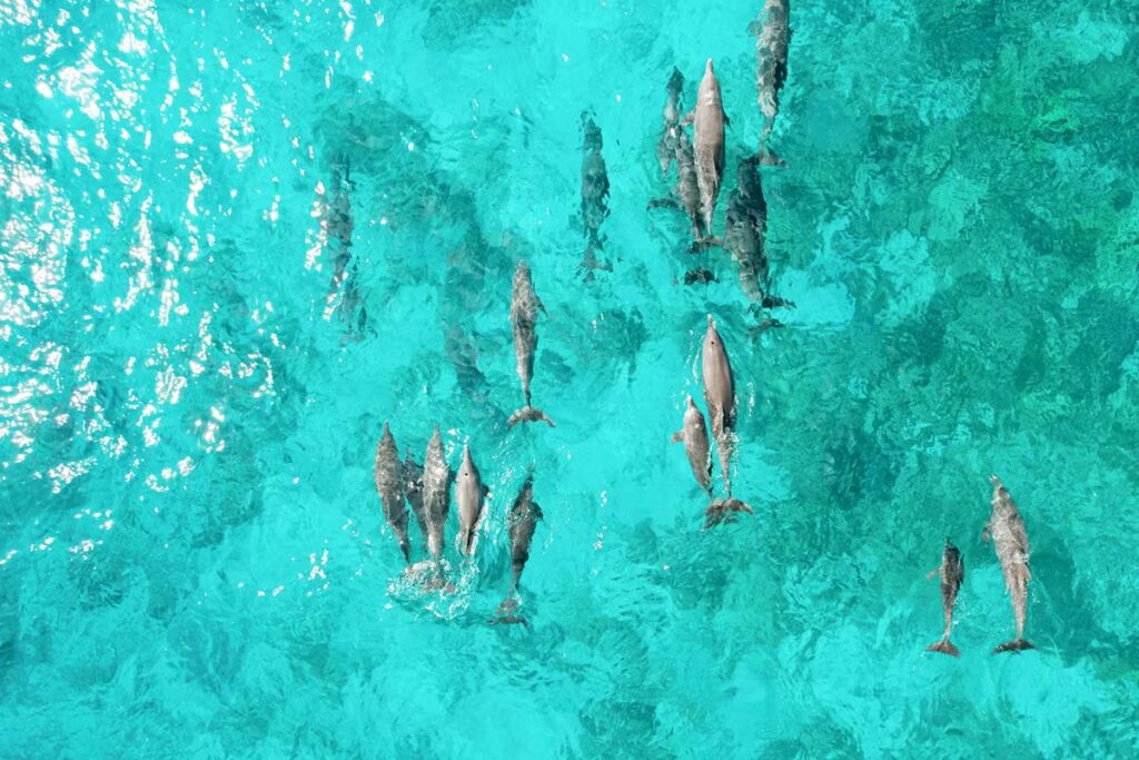 04 - Cheval Blanc Randheli 06