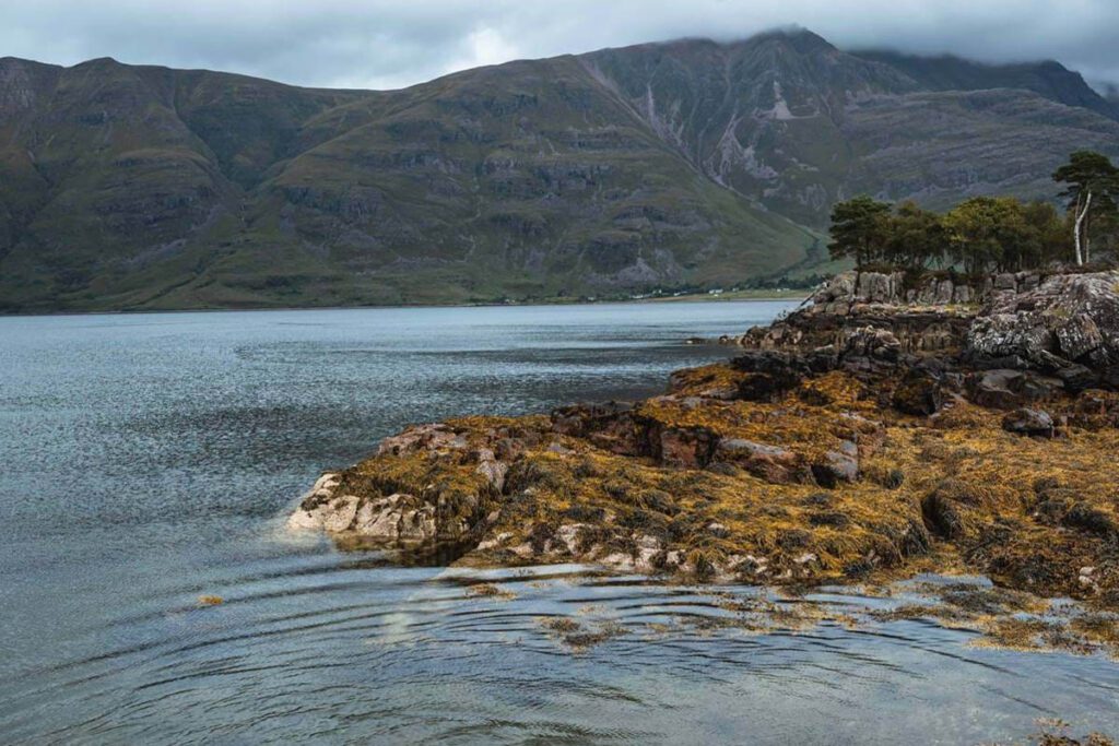 05 - The Torridon 06