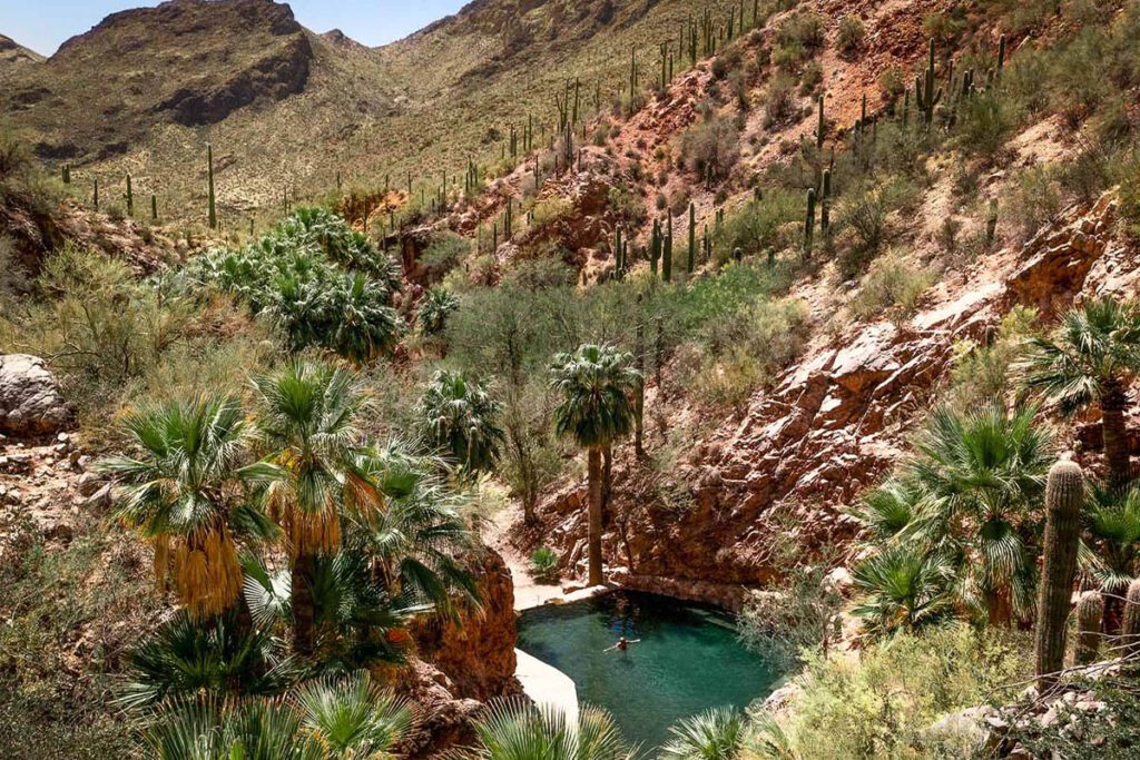 01 - Castle Hot Springs, Arizona 06