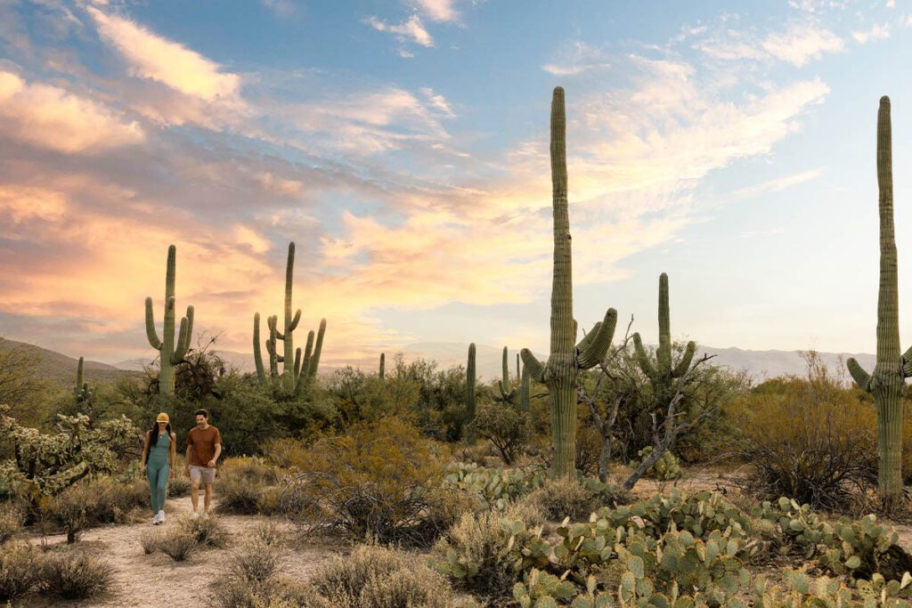 04 - Canyon Ranch Tucson, Arizona 06